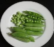 Global B2B directory Global trade lead